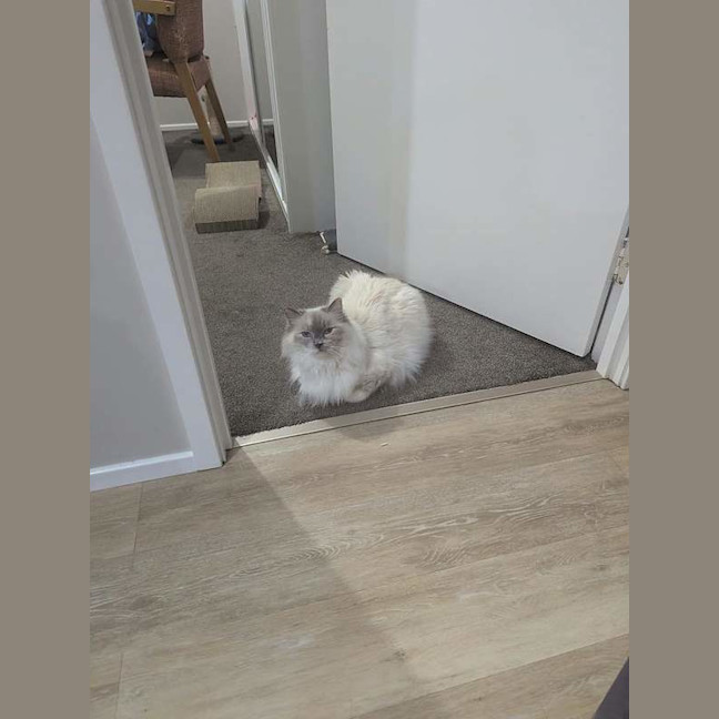 Photo of Betty