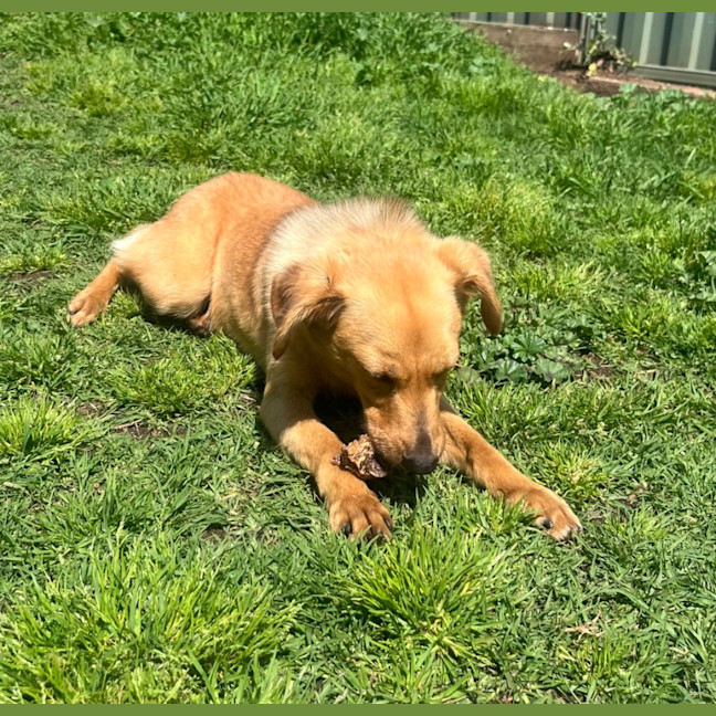 Photo of Miss. Ridgee