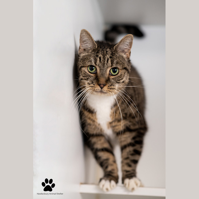 Photo of Tiggy