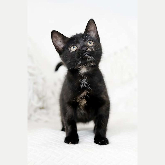 Photo of Minnie