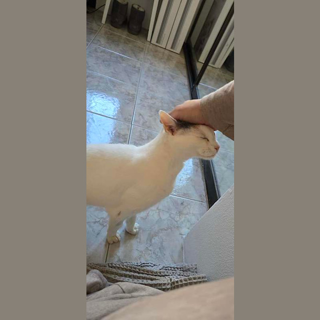 Photo of Angel
