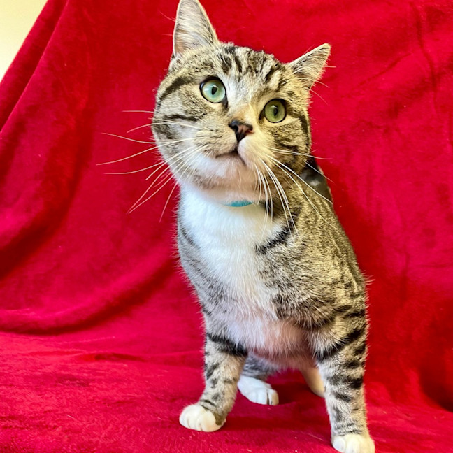 Photo of Winston