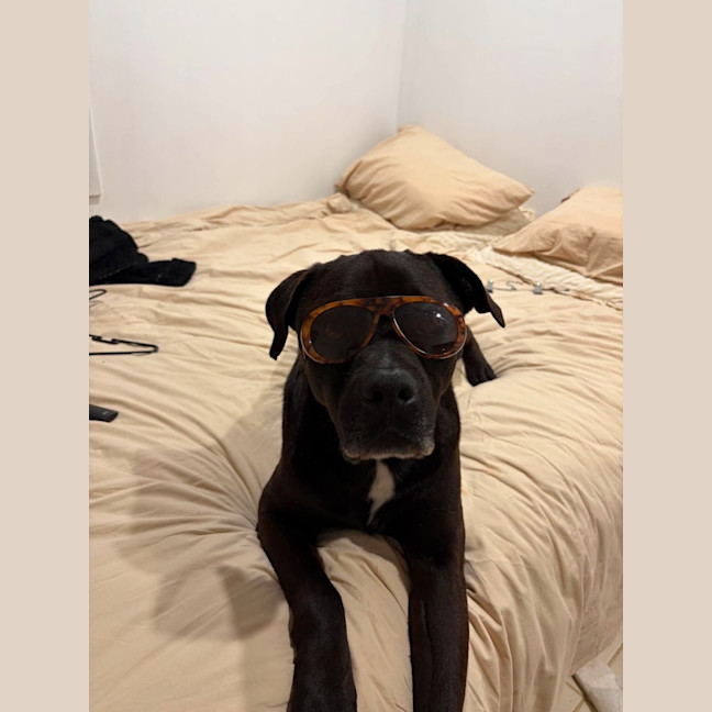 Photo of Axel