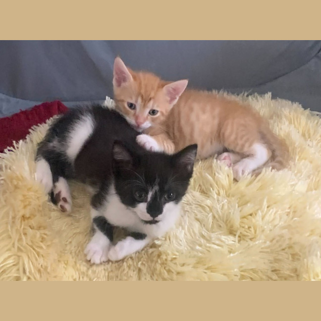 Photo of Carter & Nelson