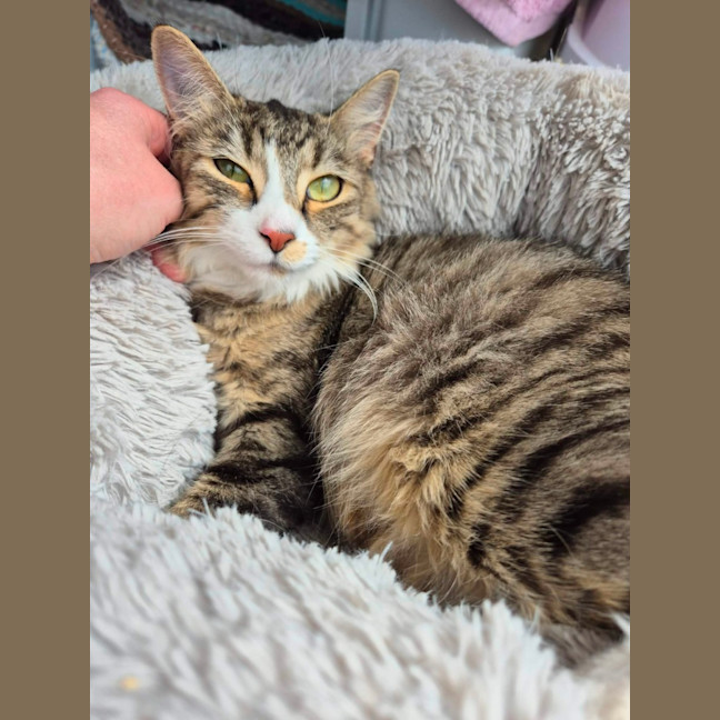 Photo of Bailey!  👑 