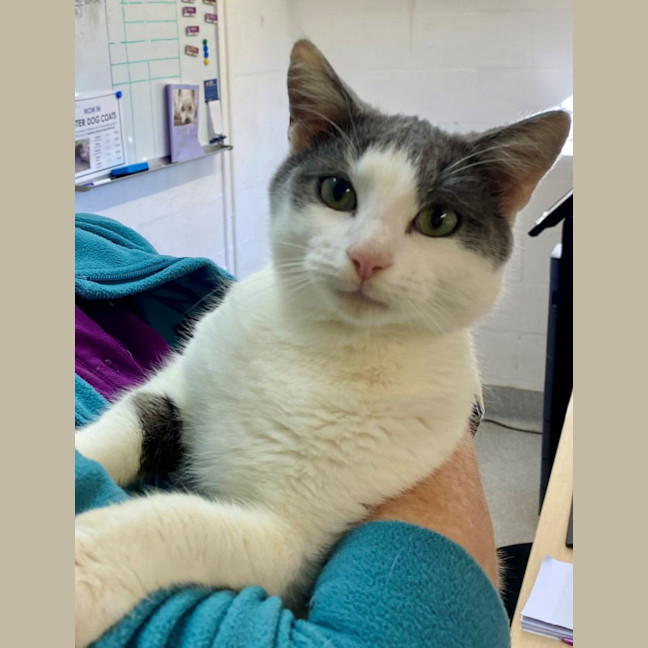 Photo of C1318 Micky