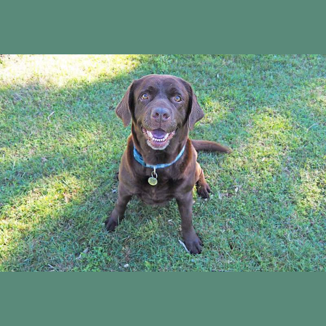 Photo of Coco