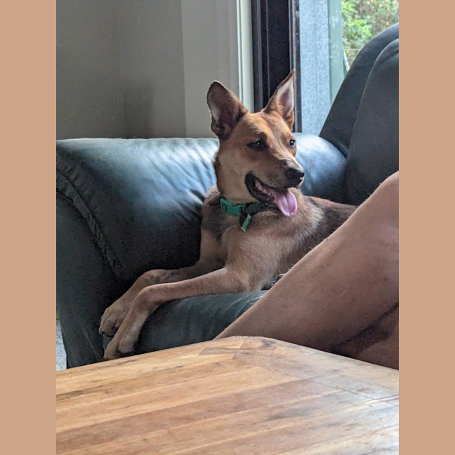 Photo of Rita