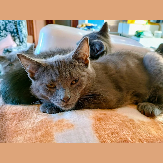 Photo of Zen