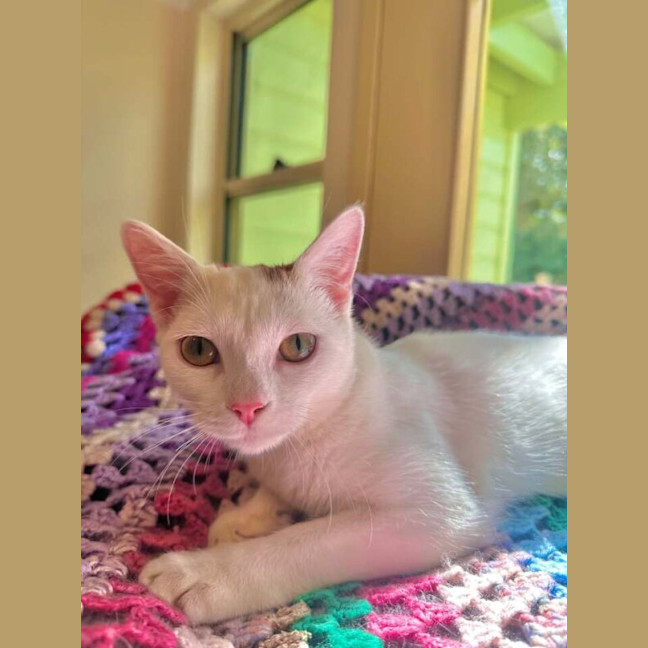Photo of Mabel