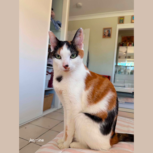 Photo of Jasmine