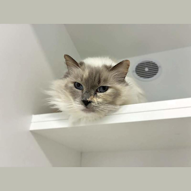 Photo of Betty