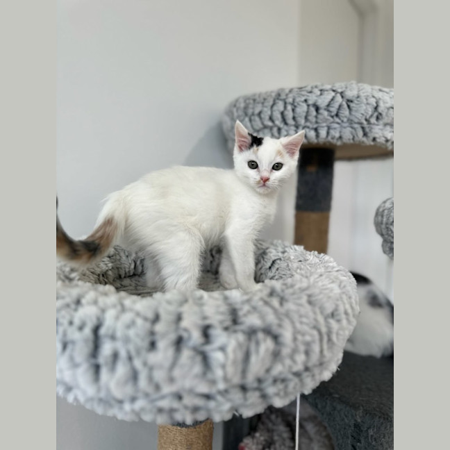 Photo of Emelia May