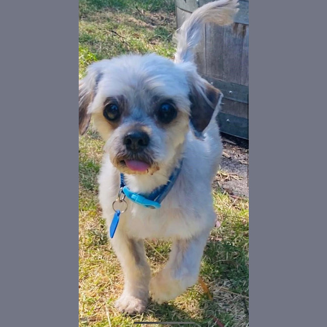 Photo of Hugo And Ollie