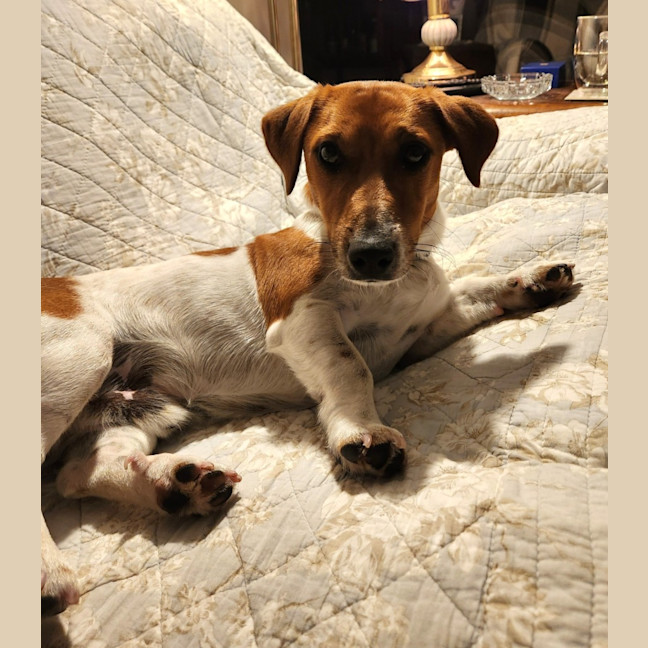 Photo of Jack Daniels