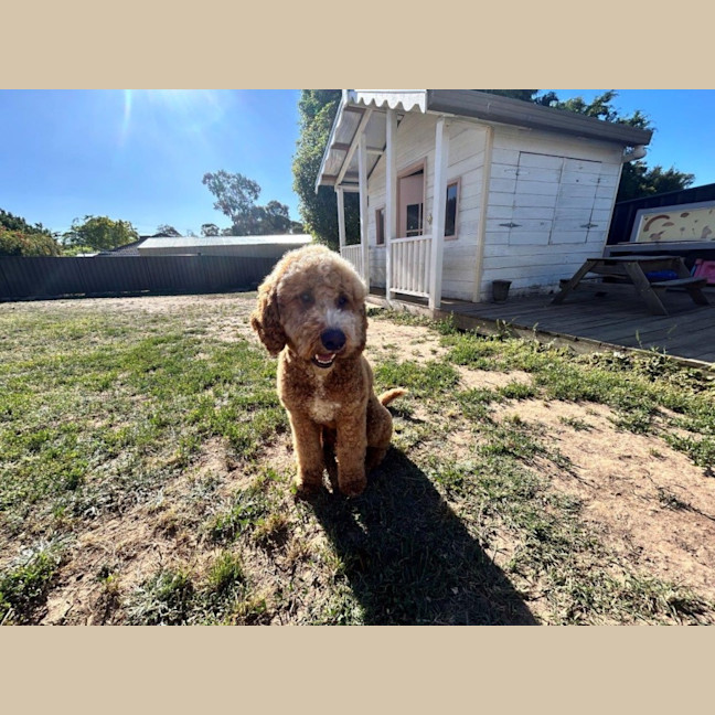 Photo of Patch Valenti