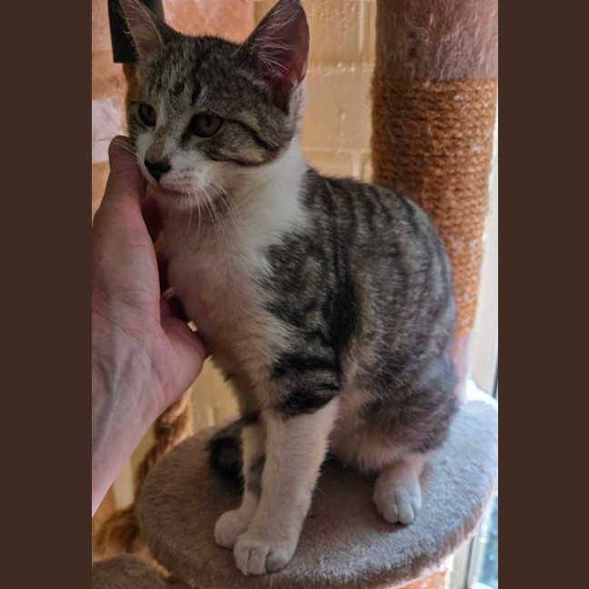 Photo of Clyde