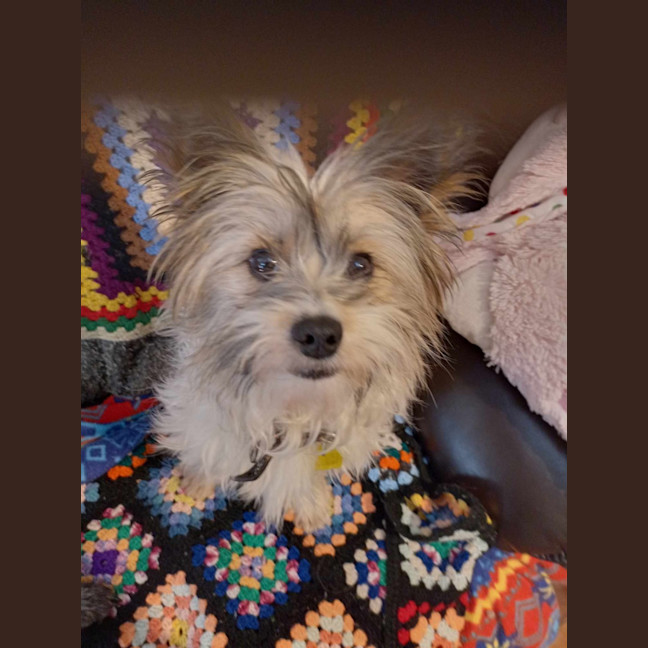 Photo of Benji & Lizzie