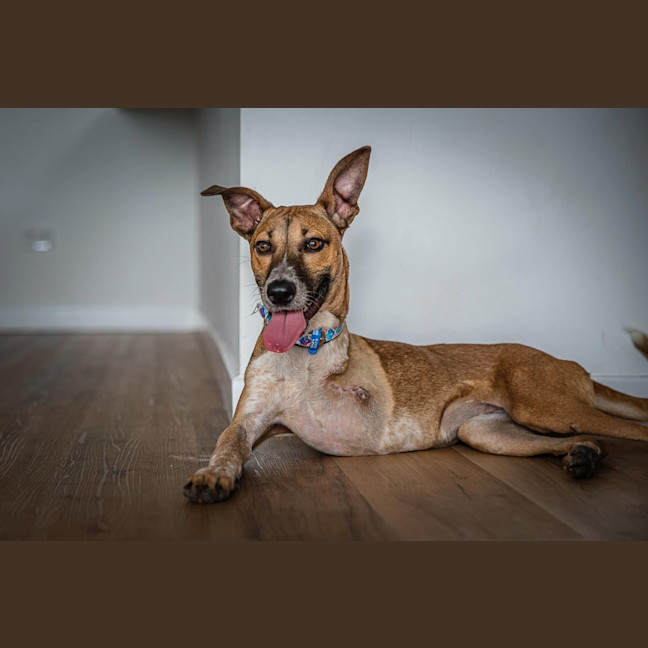 Photo of Angelina