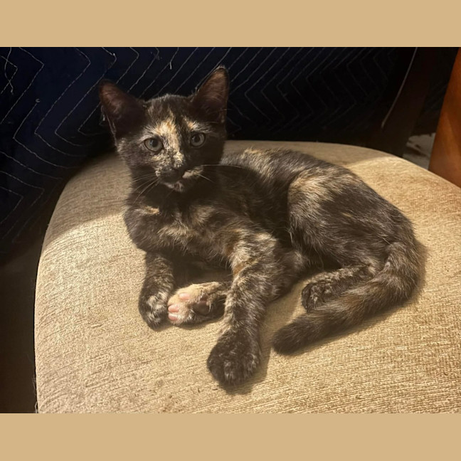 Photo of Tabitha