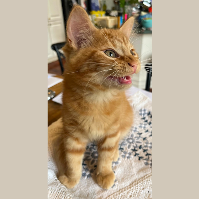 Photo of Artie