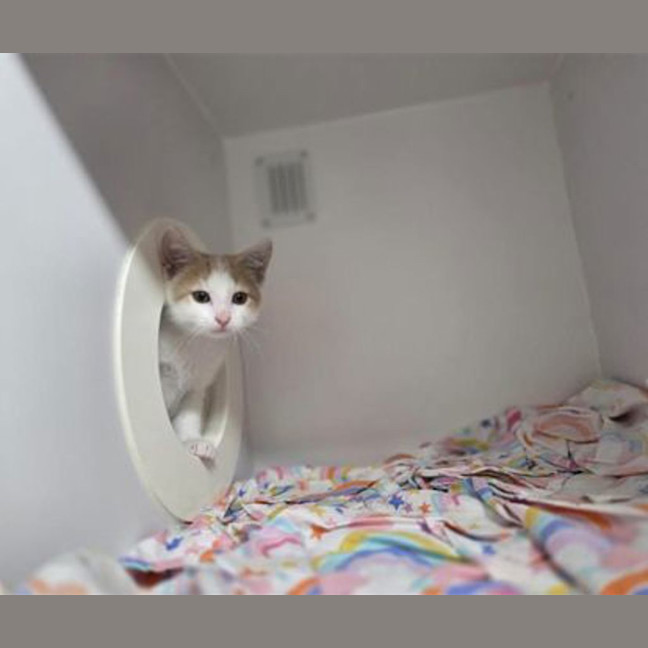 Photo of Frankie