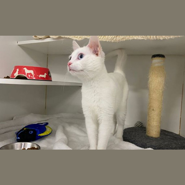 Photo of Gooby