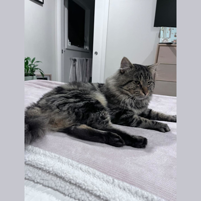 Photo of Sebastian 