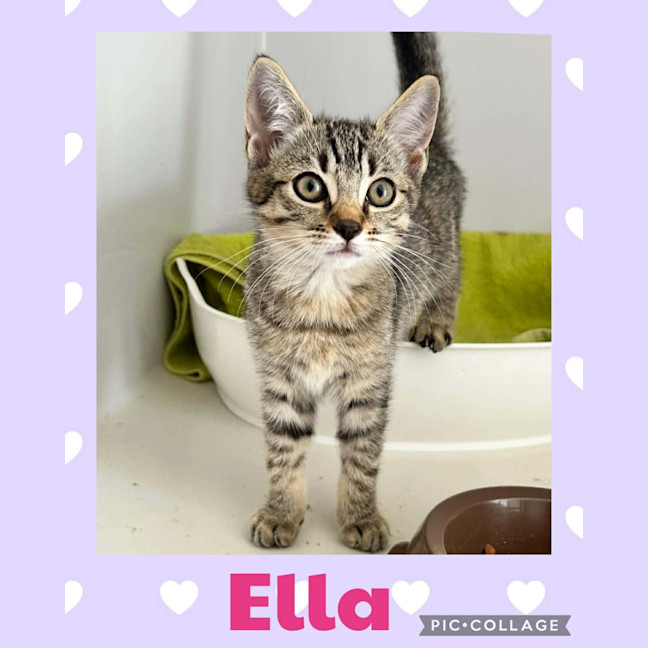 Photo of Ella