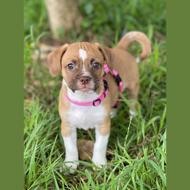 Photo of Kiki
