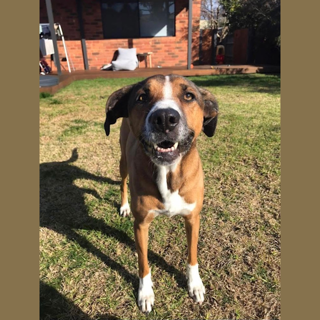 Photo of Lolita (Lola)