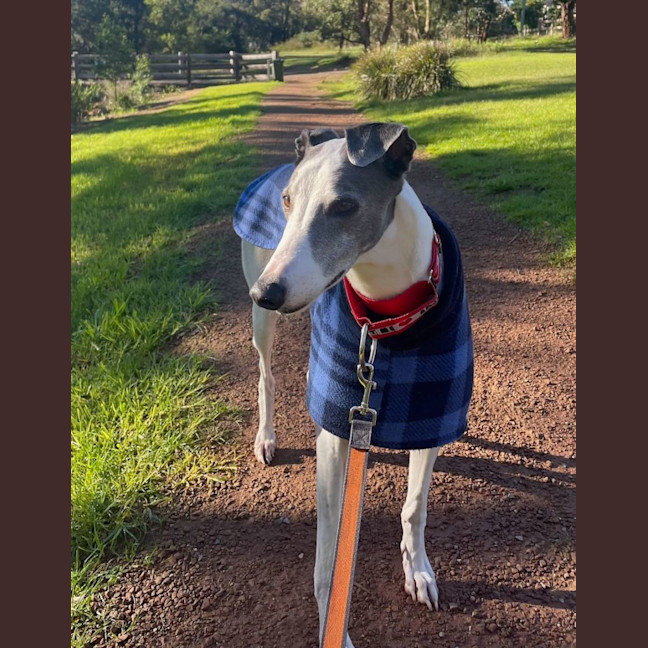 Photo of Marley