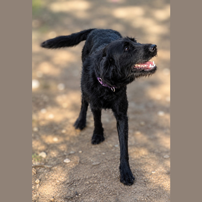 Photo of Audrey
