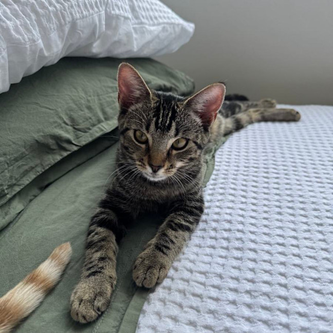 Photo of Liza   Located In Armadale