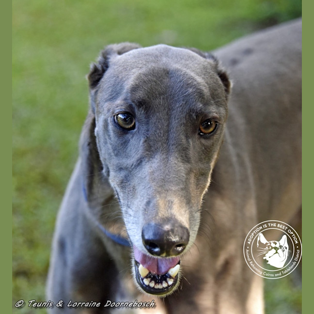 Photo of Froggy (Poppy Ed)