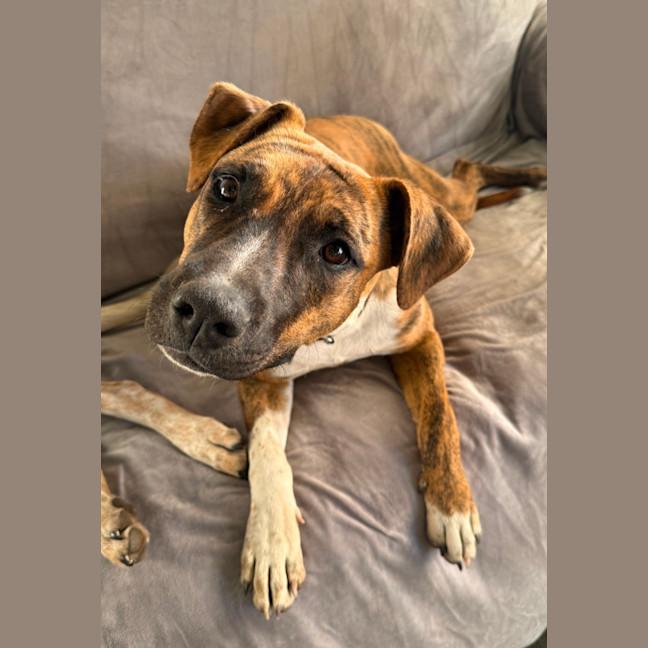 Photo of Bonnie