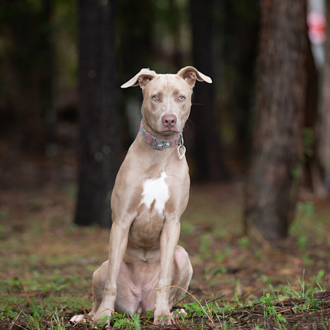 Photo of Fable