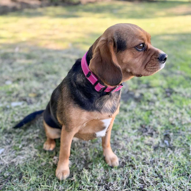 Photo of Lily