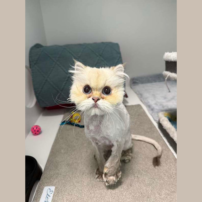 Photo of Cloud