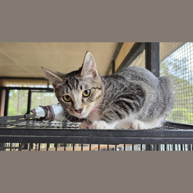 Photo of Freya 