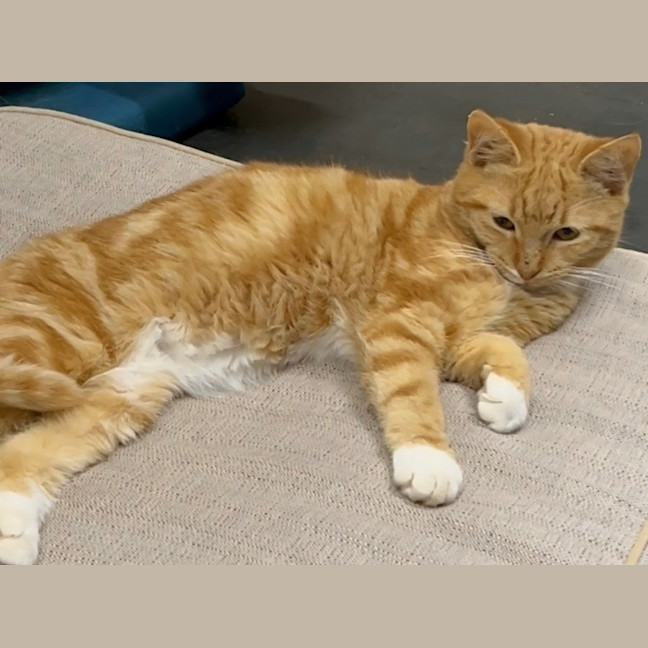 Photo of Sandi