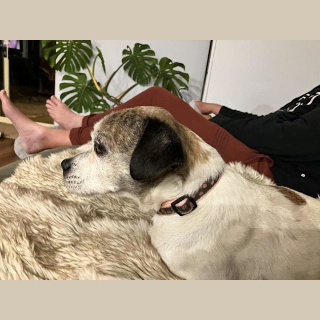 Photo of Coriolanus Snow Peggotty