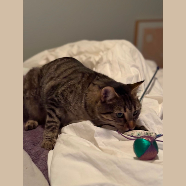Photo of Charlie 