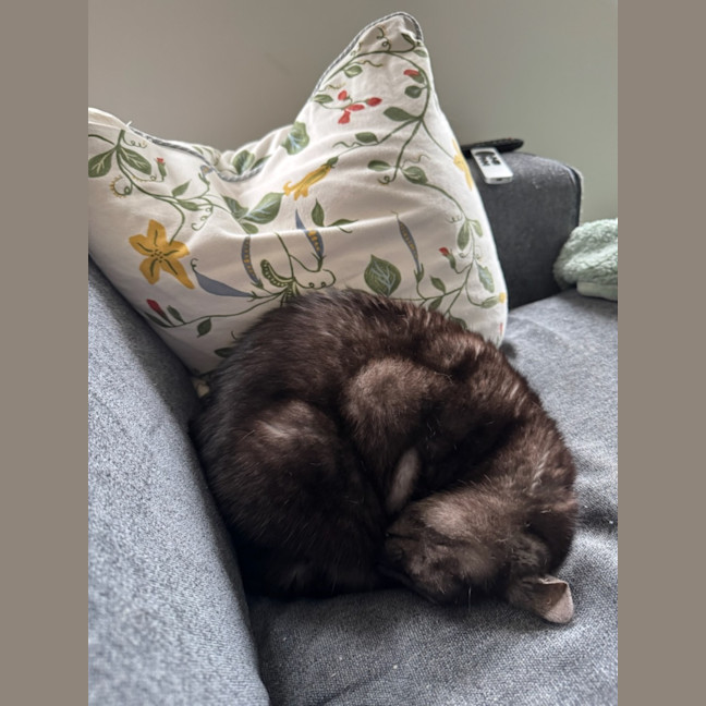 Photo of Smokey