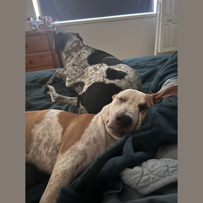 Photo of Charlie (P11)
