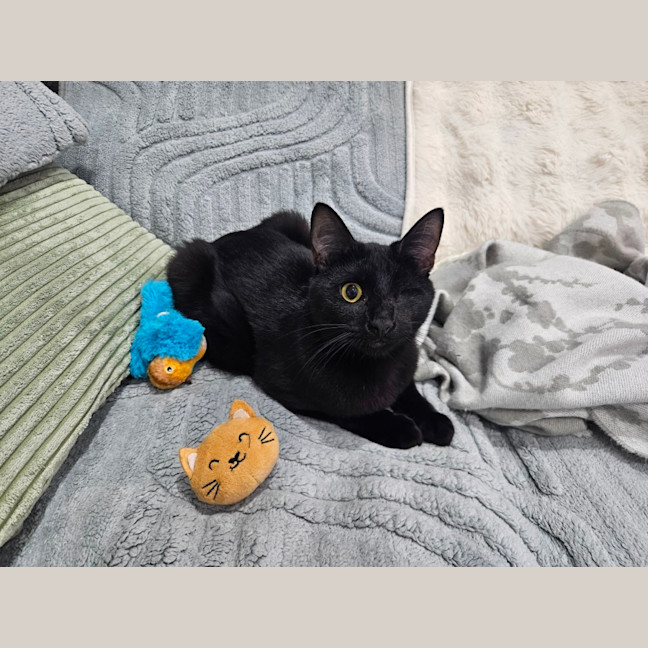 Photo of Patches
