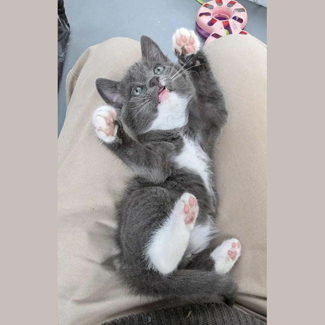 Photo of Holly