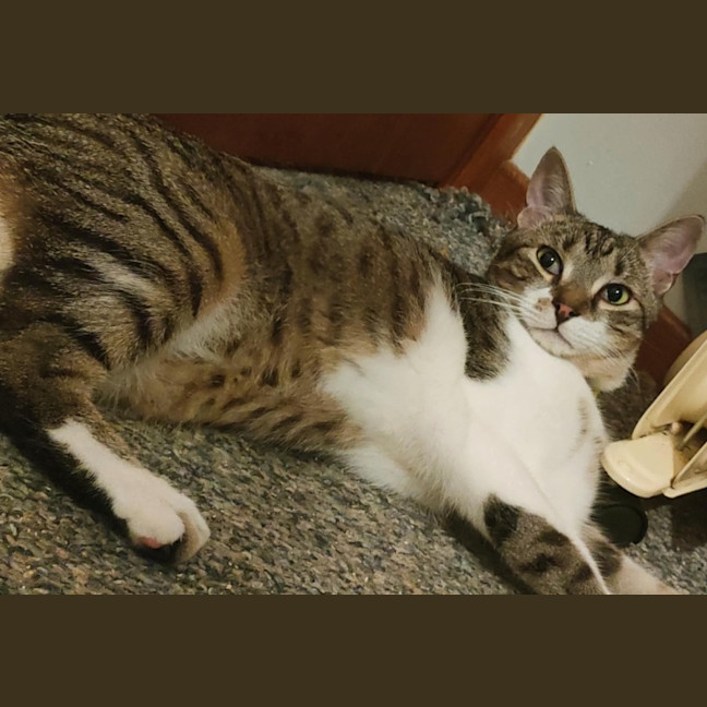 Photo of Parker