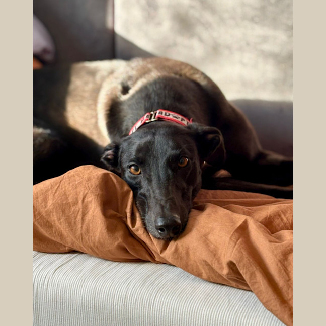 Photo of Ru