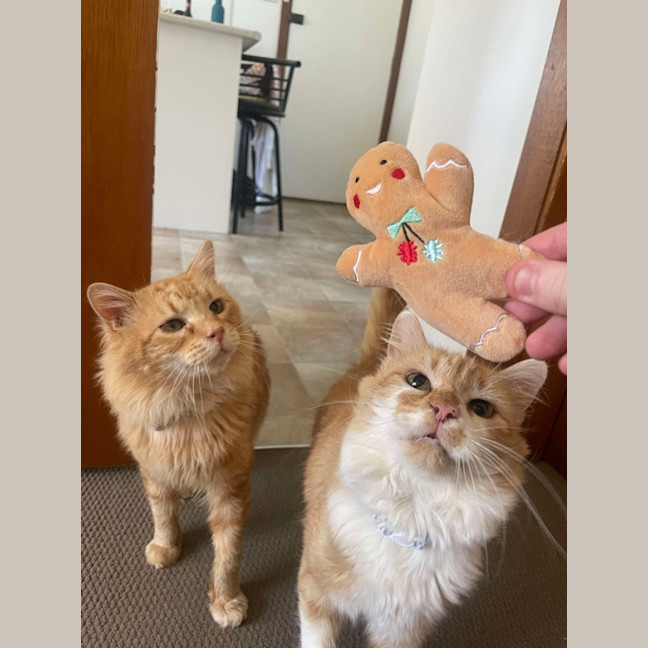 Photo of Mischief And Meggs